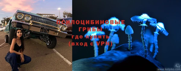 мет Гусиноозёрск