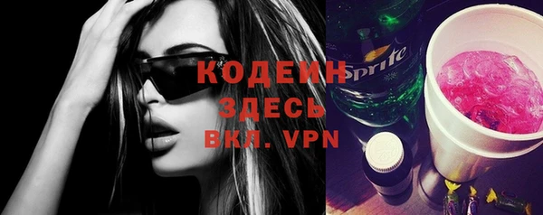 spice Гусев