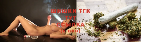spice Гусев