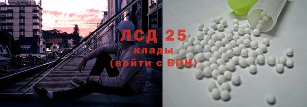 spice Гусев