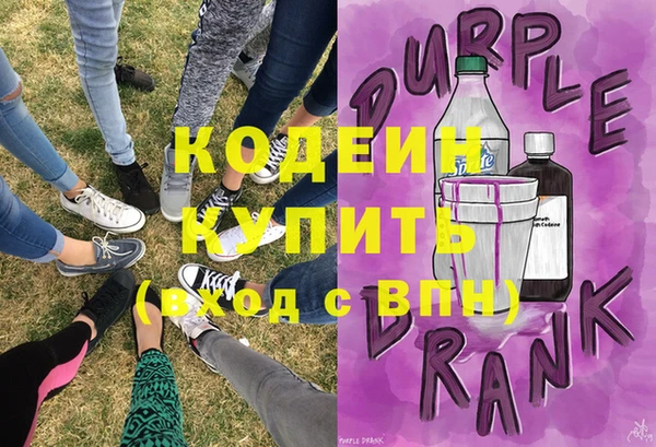 spice Гусев