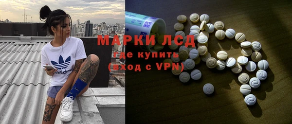 spice Гусев